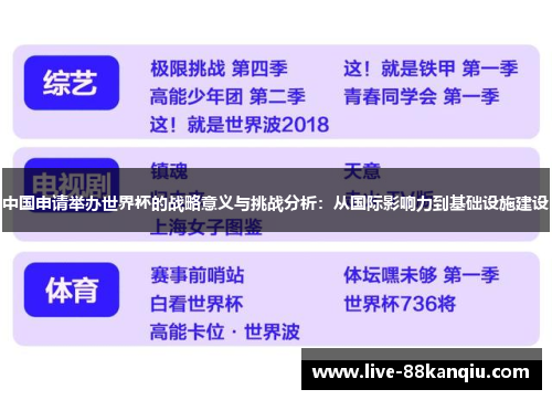 中国申请举办世界杯的战略意义与挑战分析：从国际影响力到基础设施建设